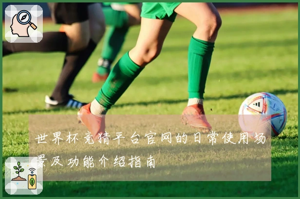 世界杯竞猜平台官网的日常使用场景及功能介绍指南