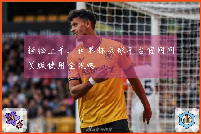 轻松上手：世界杯买球平台官网网页版使用全攻略