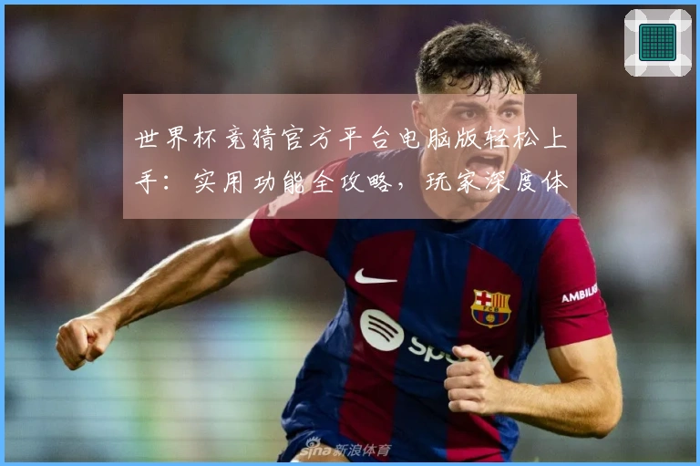 世界杯竞猜官方平台电脑版轻松上手：实用功能全攻略，玩家深度体验分享