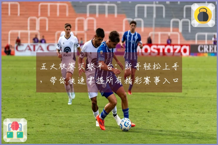 五大联赛买球平台：新手轻松上手，带你快速掌握所有精彩赛事入口