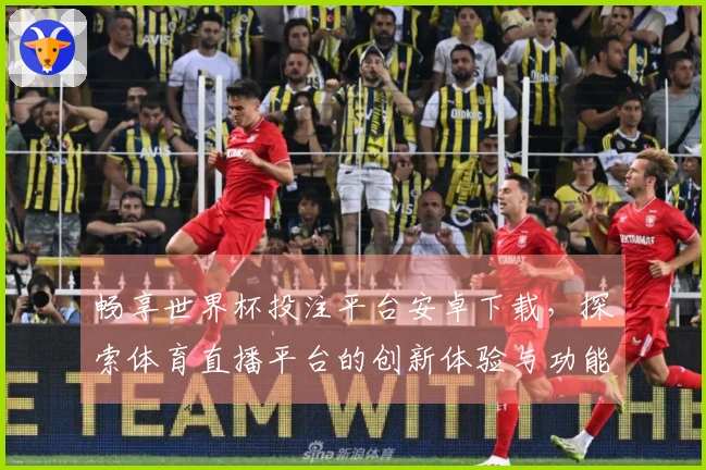 畅享世界杯投注平台安卓下载，探索体育直播平台的创新体验与功能详解