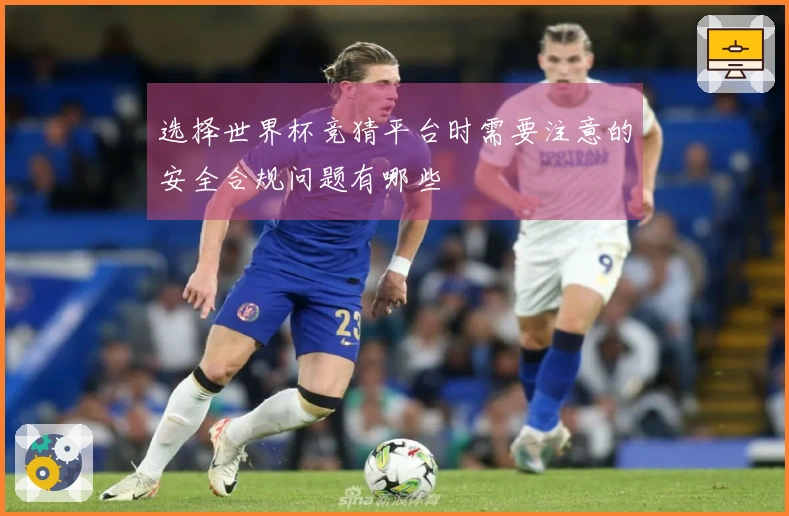 选择世界杯竞猜平台时需要注意的安全合规问题有哪些