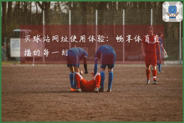 买球站网址使用体验：畅享体育直播的每一刻