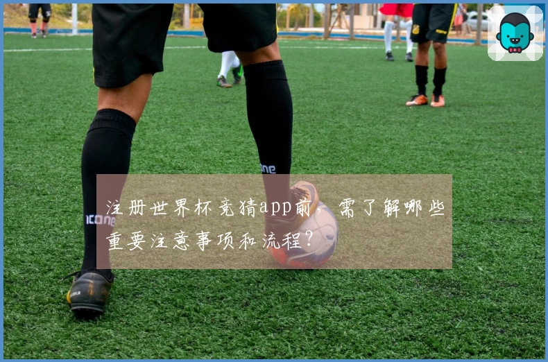 注册世界杯竞猜app前，需了解哪些重要注意事项和流程？