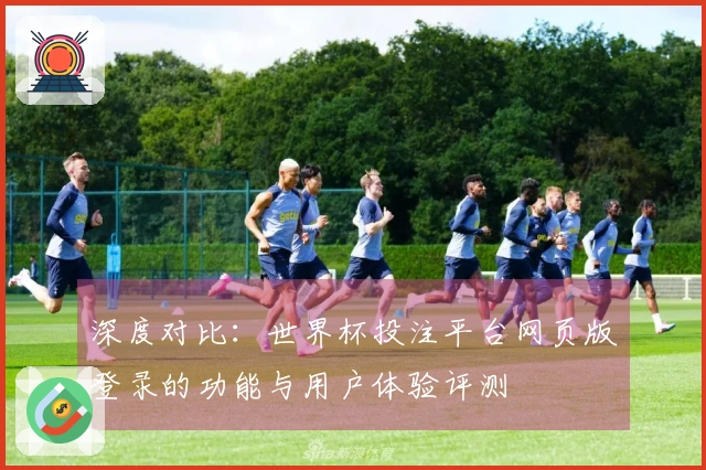 深度对比：世界杯投注平台网页版登录的功能与用户体验评测