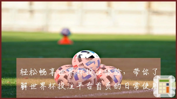 轻松畅享世界杯投注体验，带你了解世界杯投注平台首页的日常使用场景