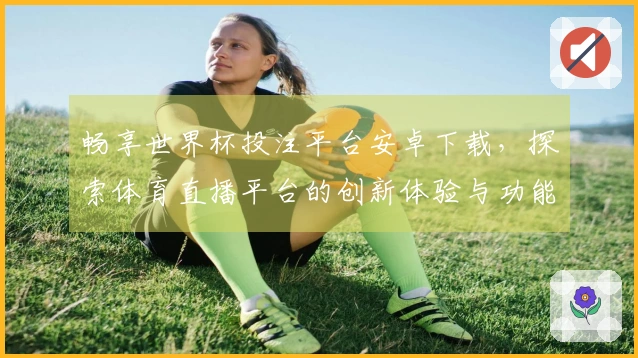 畅享世界杯投注平台安卓下载，探索体育直播平台的创新体验与功能详解