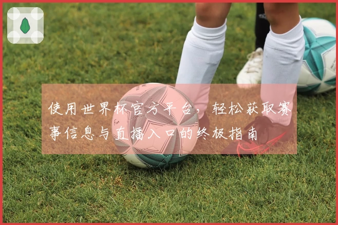 使用世界杯官方平台，轻松获取赛事信息与直播入口的终极指南